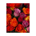 Satin Poster - Vibrant Multicolor Rose Bouquet Print (210gsm)