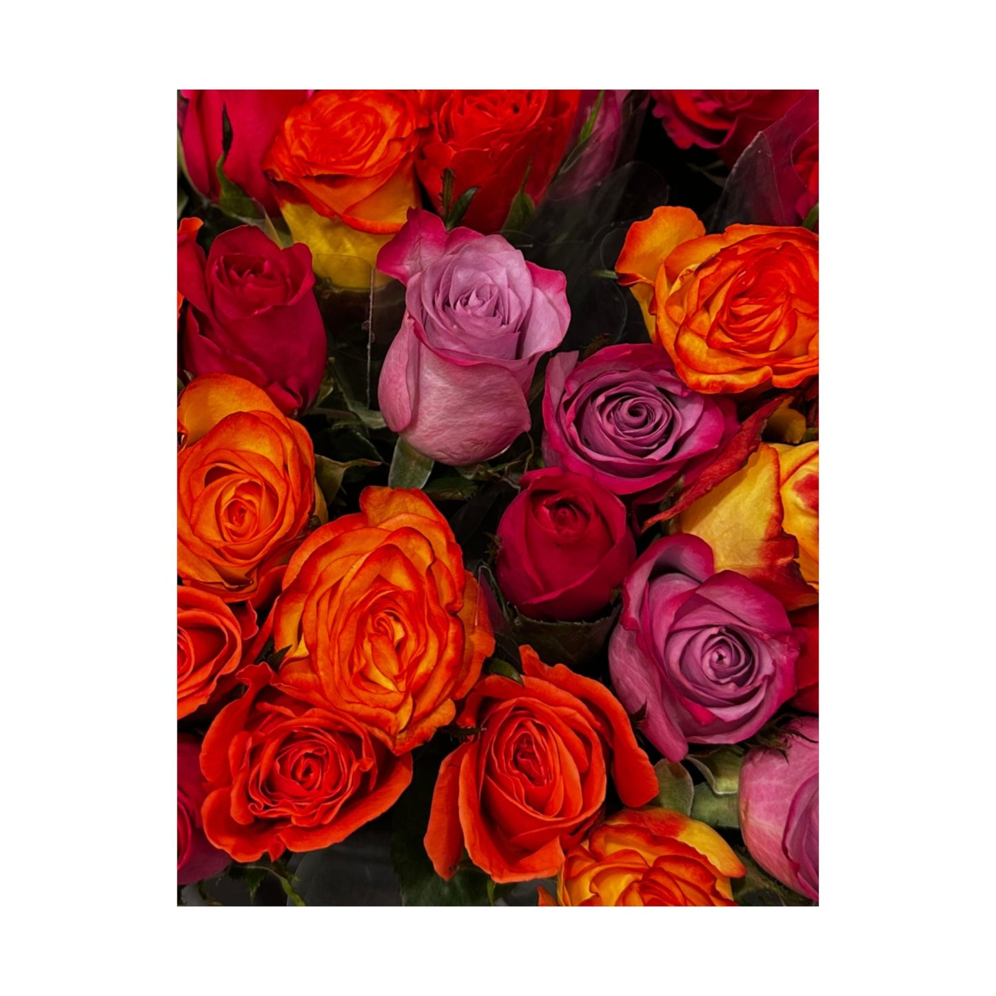Satin Poster - Vibrant Multicolor Rose Bouquet Print (210gsm)