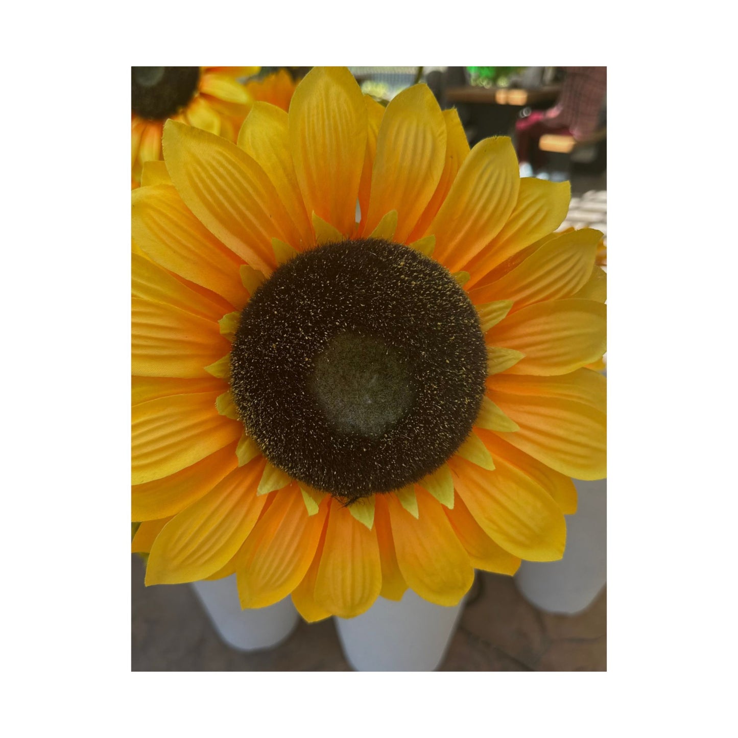Sunflower Satin Poster - Vibrant Yellow Floral Wall Art