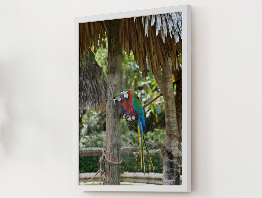 Tropical Macaw Satin Poster — Colorful Parrot Wall Art (210gsm)