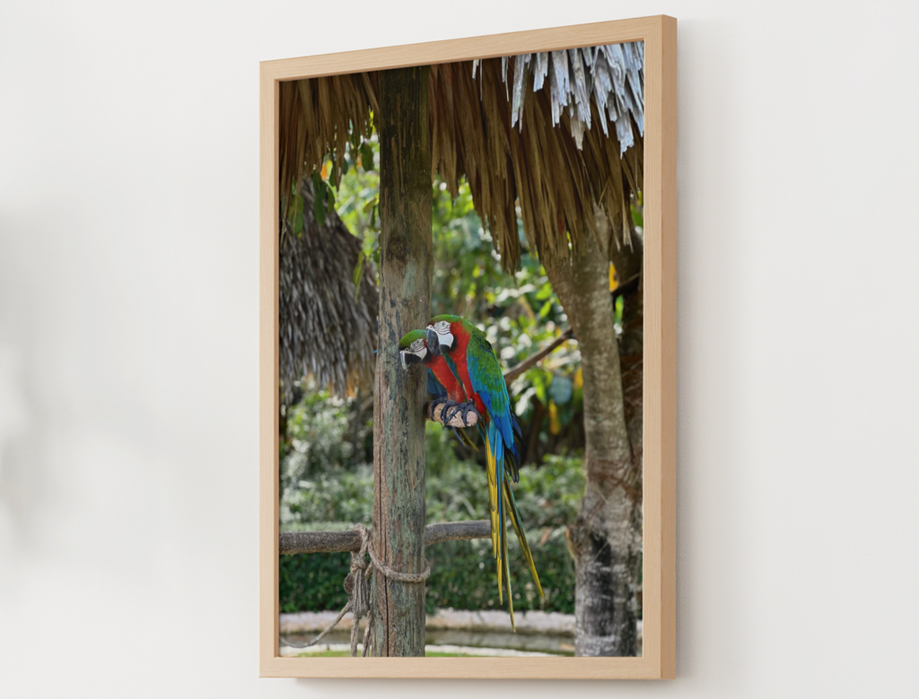 Tropical Macaw Satin Poster — Colorful Parrot Wall Art (210gsm)