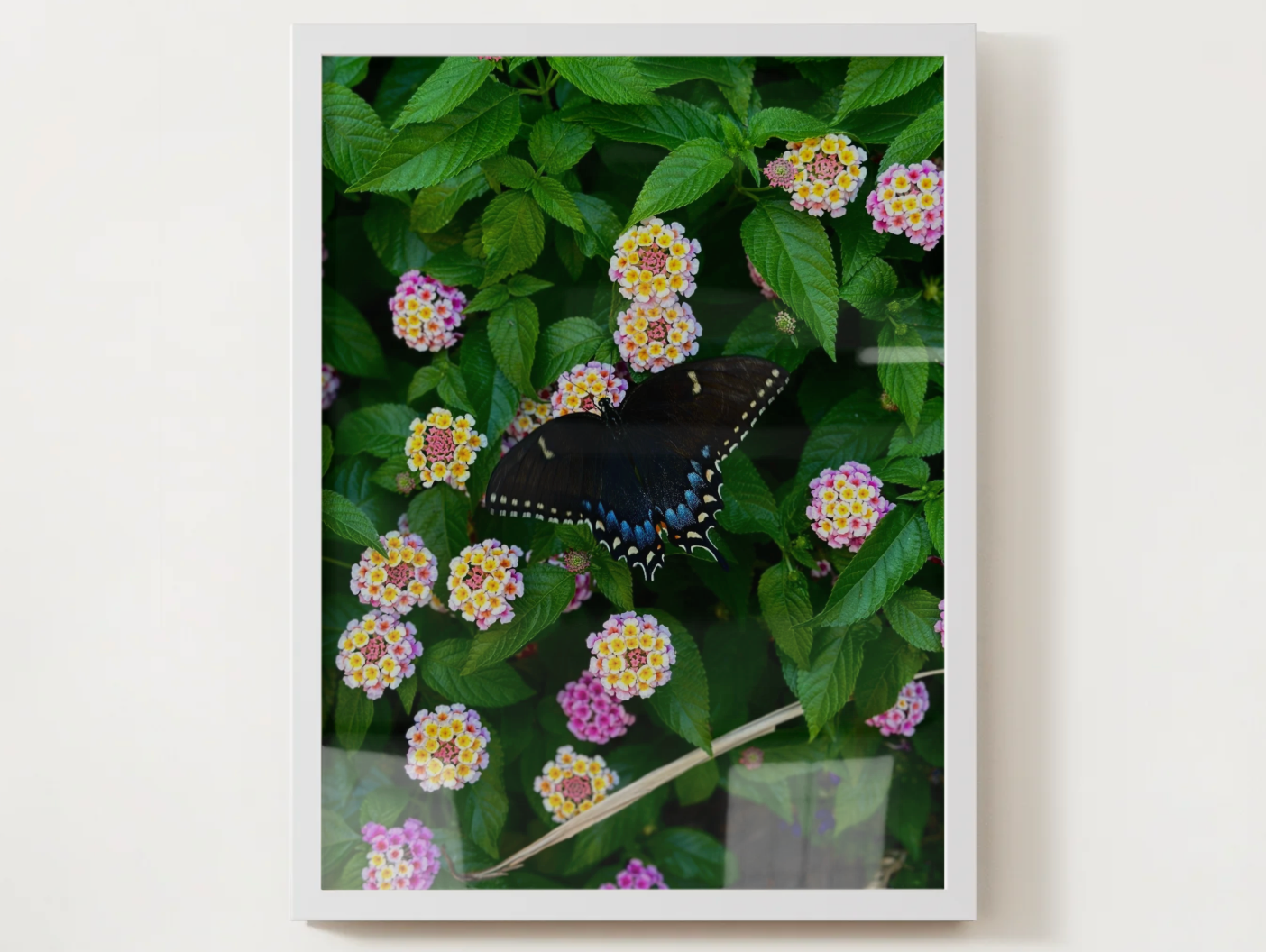 Butterfly & Lantana Satin Poster — Vibrant Floral Wall Art