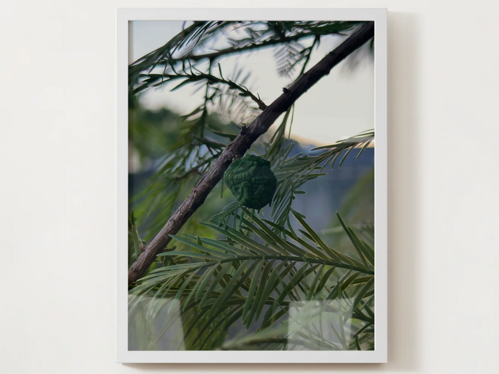 Tree Satin Poster (210gsm)