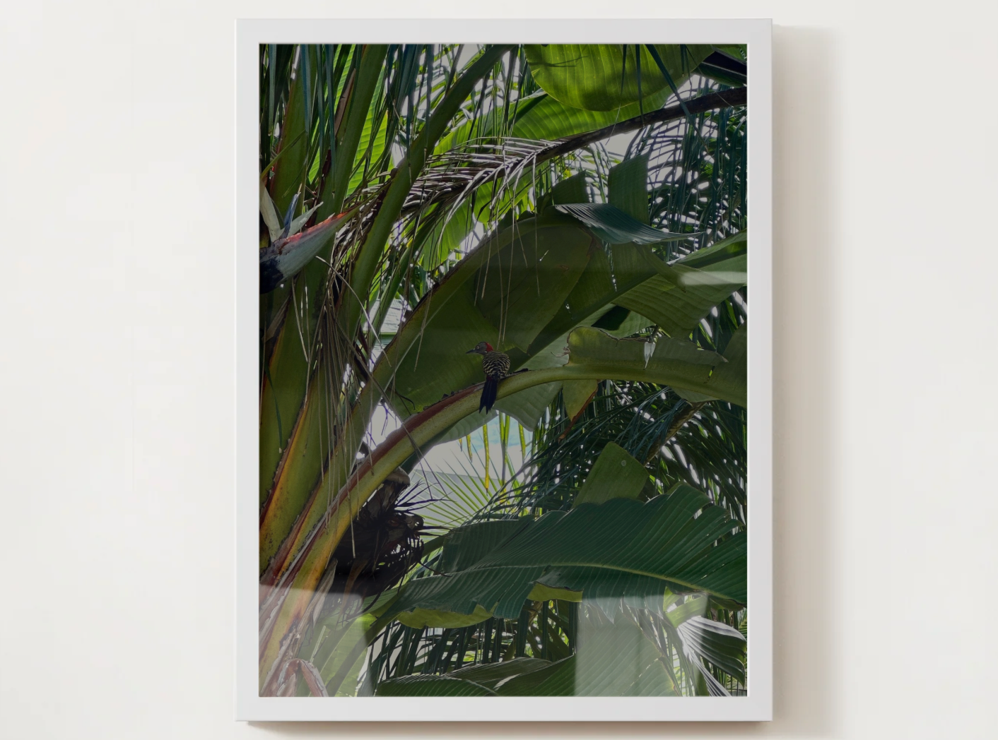 Tropical Toucan Satin Poster – Lush Jungle Wall Art (210gsm)