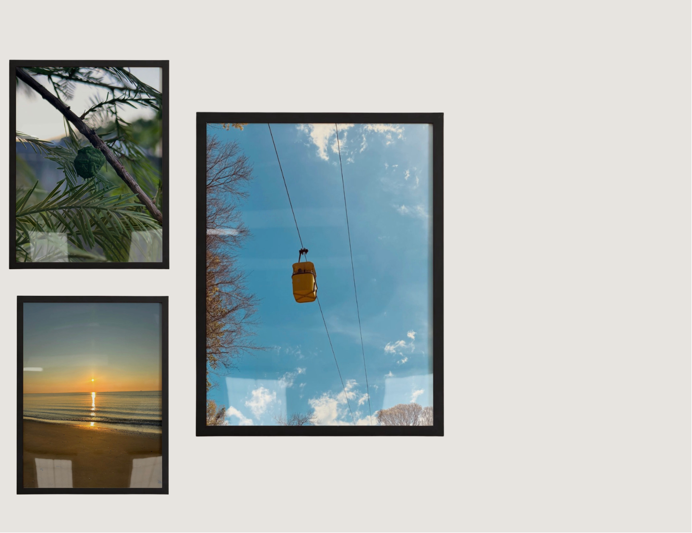 Four framed photographs of natural landscapes on a white wall.